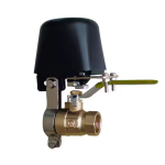 WIFI Water Valve/Gas Valve Switch