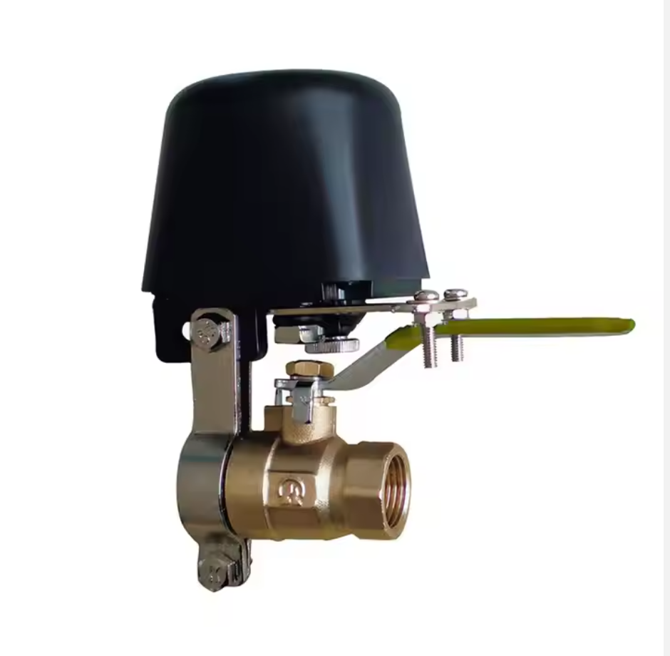 WIFI Water Valve/Gas Valve Switch